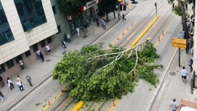 Şiddetli Rüzgar Sonrası Eskişehir'de Tramvay Durağında Ağaç Devrildi